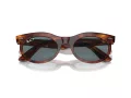 Ray-Ban Wayfarer Oval Zonnebril RB 2242 954/3R