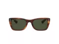 Ray-Ban Caribbean Zonnebril RB 2248 954/31