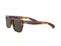 Ray-Ban Caribbean Zonnebril RB 2248 954/31