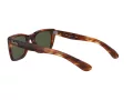 Ray-Ban Caribbean Zonnebril RB 2248 954/31
