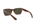 Ray-Ban Caribbean Zonnebril RB 2248 954/31