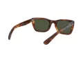 Ray-Ban Caribbean Zonnebril RB 2248 954/31