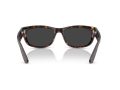 Ray-Ban Mega Balorama Zonnebril RB 2289 902/48