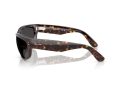 Ray-Ban Mega Balorama Zonnebril RB 2289 902/48