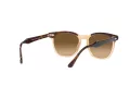 Ray-Ban Hawkeye Zonnebril RB 2298 1292M2