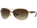 Ray-Ban Zonnebril RB 3386 00113