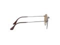 Ray-Ban Round Metal Zonnebril RB 3447N 004/51