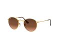 Ray-Ban Round Metal Zonnebril RB 3447 9001/A5