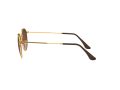 Ray-Ban Round Metal Zonnebril RB 3447 9001/A5