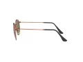 Ray-Ban Round Metal Zonnebril RB 3447 9002/A6