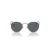 Ray-Ban Round Metal Zonnebril RB 0RB3447 9202R5