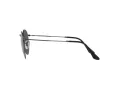 Ray-Ban Round Metal Zonnebril RB 3447 9229/B1