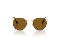 Ray-Ban Round Metal Zonnebril RB 3447 927533
