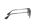 Ray-Ban Erika Metal Zonnebril RB 3539 002/8G