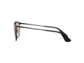 Ray-Ban Erika Metal Zonnebril RB 3539 002/Q4