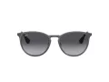 Ray-Ban Erika Metal Zonnebril RB 3539 192/8G