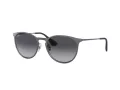 Ray-Ban Erika Metal Zonnebril RB 3539 192/8G