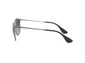 Ray-Ban Erika Metal Zonnebril RB 3539 192/8G