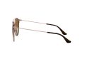 Ray-Ban Zonnebril RB 3546 9074