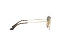 Ray-Ban Hexagonal Zonnebril RB 3548N 001/30