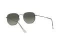 Ray-Ban Hexagonal Zonnebril 3548N 004/71
