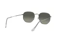 Ray-Ban Hexagonal Zonnebril 3548N 004/71