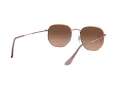 Ray-Ban Hexagonal Zonnebril RB 3548N 9069/A5