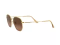 Ray-Ban Hexagonal Zonnebril 3548N 912443