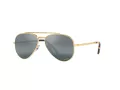 Ray-Ban New Aviator Zonnebril RB 3625 9196/G6