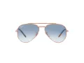 Ray-Ban New Aviator Zonnebril RB 3625 9202/3F
