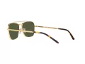 Ray-Ban New Caravan Zonnebril RB 3636 9196/31
