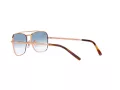 Ray-Ban New Caravan Zonnebril 3636 92023F
