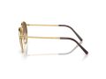 Ray-Ban New Round Zonnebril RB 3637 001/51