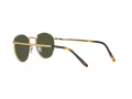 Ray-Ban New Round Zonnebril RB 3637 9196/31