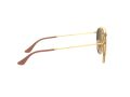 Ray-Ban Zonnebril RB 3647N 001/7O