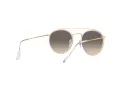 Ray-Ban Zonnebril 3647N 923632