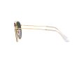 Ray-Ban Zonnebril RB 3647N 9238/71