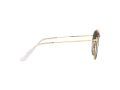 Ray-Ban Zonnebril RB 3647N 9238/71