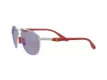 Ray-Ban Zonnebril RB 3659M F031/H0