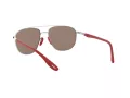 Ray-Ban Zonnebril RB 3659M F031/H0