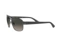 Ray-Ban Zonnebril RB 3663 004/71