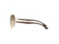 Ray-Ban Zonnebril RB 3683 001/51