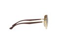 Ray-Ban Zonnebril RB 3683 001/51