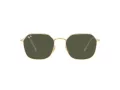 Ray-Ban Jim Zonnebril RB 3694 001/31