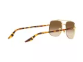 Ray-Ban Zonnebril RB 3699 001/51