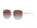 Ray-Ban Zonnebril RB 3713D 9202I8