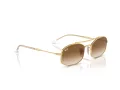 Ray-Ban Zonnebril RB 3719 001/51