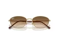 Ray-Ban Zonnebril RB 3749 001/51