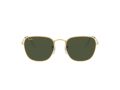 Ray-Ban Frank Zonnebril RB 3857 9196/31