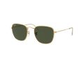 Ray-Ban Frank Zonnebril RB 3857 9196/31